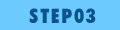 STEP03